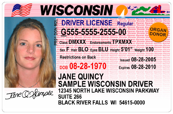 drivers license status check fl